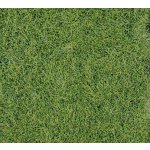 Heki Kittler Divoká tráva zelená 1870 – Sleviste.cz