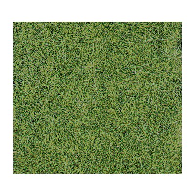 Heki Kittler Divoká tráva zelená 1870 – Sleviste.cz