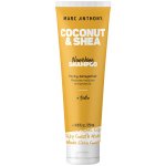 Marc Anthony Coconut oil & Shea Butter šampon s kokosovým olejem 250 ml – Hledejceny.cz