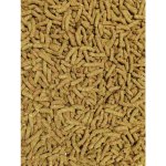 Versele-Laga Cavia Complete 0,5 kg – HobbyKompas.cz