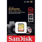 SanDisk SDXC UHS-I U3 256 GB SDSDXV5-256G-GNCIN – Hledejceny.cz