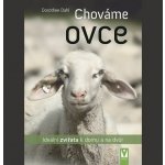 Chováme ovce – Hledejceny.cz