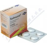 SOLMUCOL ORM 100MG PAS 24 – Sleviste.cz