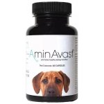 AminAvast kapsle 1000 mg 60 ks – Hledejceny.cz