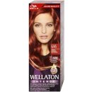 Wella Wellaton Intense barva na vlasy s arganovým olejem 6/45 Red Passion