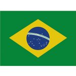 Printwear Vlajka Brazílie Flagbr Brazil 90 x 150 cm – Hledejceny.cz
