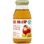 HiPP BIO Jablečno-hroznová 200 ml – Zboží Dáma