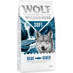 Wolf of Wilderness Adult "Deep Seas" se sleděm 2 x 12 kg – Hledejceny.cz