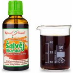 Bylinné kapky Duše rostlin Šalvěj lékařská tinktura 50 ml – Hledejceny.cz
