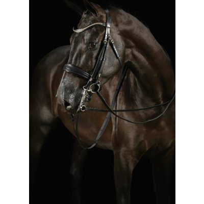 Mrs. Ros Equestrian Uzda drezurní Deluxe černá