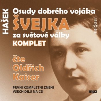 Osudy dobrého vojáka Švejka komplet - Jaroslav Hašek