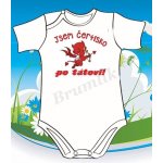 Vtipné body s nápisem “Jsem čertisko po tátovi” – Hledejceny.cz