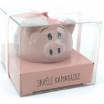 Albi Prasátko pro radost pokladnička Skvělé kamarádce 6 x 7,5 cm – Zboží Dáma