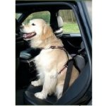 HuhuBamboo Bezpečnostní postroj do auta S – Zboží Dáma