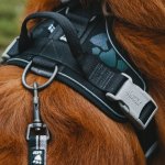Hurtta & Co New Postroj Weekend Warrior neon – Zboží Dáma