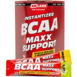 XXtreme BCAA MAXX SUPPORT 310 g – Hledejceny.cz