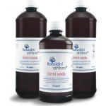 Koloidní stříbro s.r.o. 2 l + 500 ml Balení skleněné lahve – Zboží Mobilmania