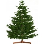 Jurhan Umělý vánoční stromeček FROST 180cm zelená 11519 – Hledejceny.cz