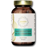 Puravia LABS Liposomální vitamín D3 + K2 + Magnesium VEGAN 30 kapslí – Hledejceny.cz