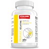 Doplněk stravy Vitaland ProFlex gelatina 360 tablet