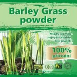 Naturgreen Mladý ječmen 100% Bio 300 g – Hledejceny.cz