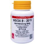 Sinecura WBO8.9-2019 maimendong tang 60 tablet – Hledejceny.cz