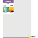 Octopus Hobby malířské plátno 50 x 60 cm 280 g/m2 – Zboží Mobilmania