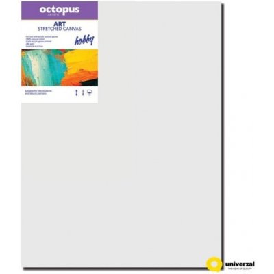 Octopus Hobby malířské plátno 50 x 60 cm 280 g/m2 – Zboží Mobilmania