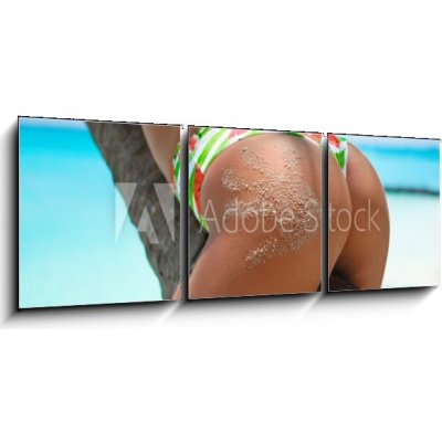 Obraz 3D třídílný - 150 x 50 cm - Outdoor Closeup of Fit buttocks. Fitness woman on a palm tree. Sexy Ass over exotic beach. Sporty concept. Summertime vacation. Venkovn – Zboží Mobilmania