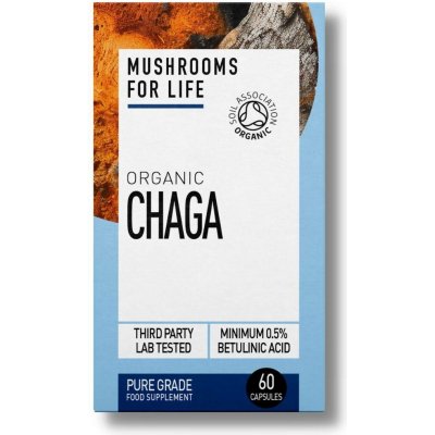 Mushrooms 4 Life Wild Chaga 60 kapslí – Hledejceny.cz