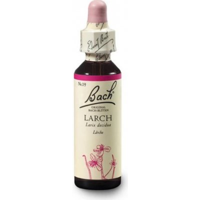 Bachovy květové esence kapky Larch Modřín opadavý 20 ml – Hledejceny.cz