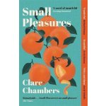 Small Pleasures - Chambers Clare – Zboží Dáma