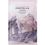 SKIN1004 Madagaskar Centella Poremizing Clarifying Mask Maska pro zmenšení viditelnosti pórů 23 ml – Zboží Dáma