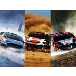 EA Sports WRC – Zboží Dáma