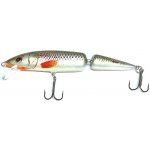 Dorado Classic Jointed 16 cm S – Hledejceny.cz