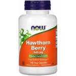 Now Foods Foods Hloh Hawthorn Berry 540 mg 100 kapslí – Hledejceny.cz