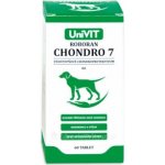 Univit Roboran Chondro 7 pro psy 180 tbl – HobbyKompas.cz