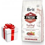 Brit Fresh Beef with Pumpkin Puppy Large 12 kg – Hledejceny.cz
