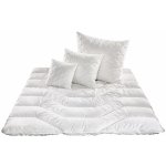 4sleep Set Medical z dutého vlákna prošívaný normal 1000 + 1000g v ECO sáčku 140x200 70x90 – Zboží Mobilmania