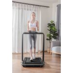 Flow Fitness DTM200i – Hledejceny.cz