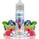 TI Juice Bar Series S & V Blueberry Sour Raspberry 10 ml – Zboží Dáma