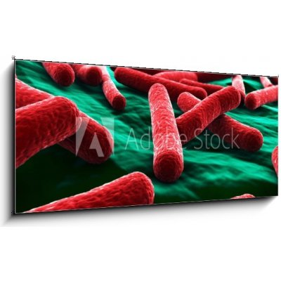 Obraz 1D panorama - 120 x 50 cm - E coli Bacteria close up Bakterie E coli zblízka