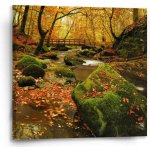 Sablio Obraz Most v lese - 50x50 cm – Hledejceny.cz