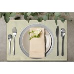 Eurofirany 4 KS Prostírání Daga 40X30cm – Zboží Mobilmania