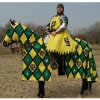 Karnevalový kostým Outfit4Events Koňská pokrývka čabraka rytířský varkoč a korouhev žluto zelený