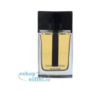 Christian Dior Intense parfémovaná voda pánská 100 ml