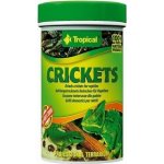 Tropical Crickets 250 ml – Zboží Mobilmania