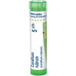 CORALLIUM RUBRUM POR 5CH GRA 1X4G – Hledejceny.cz