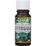 Saloos esenciální olej Levandule (Francie) 10 ml – Hledejceny.cz