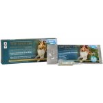 Bioveta Top Spot-on Dog M do 30 kg 1 x 2 ml – HobbyKompas.cz